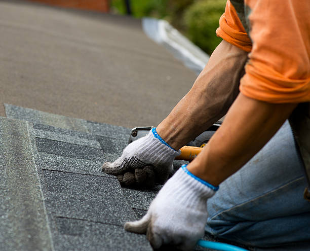 Best Roof Gutter Cleaning  in Delphos, OH
