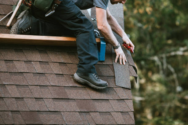 Best Roof Gutter Cleaning  in Delphos, OH